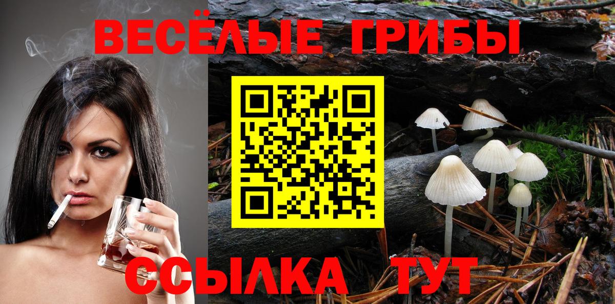 Галлюциногенные грибы мицелий Ликино-Дулёво