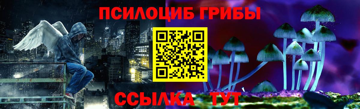 Галлюциногенные грибы Psilocybe  Вход с VPN  Ликино-Дулёво 